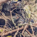 Rege camo