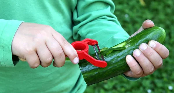 Eplucheur enfant "Le Petit Chef"