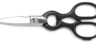 Sanelli Forbici Cucina Inox Cm.20