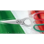 Sanelli Forbici Cucina Inox Cm.21