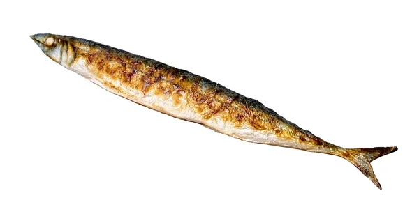 Something Fishy