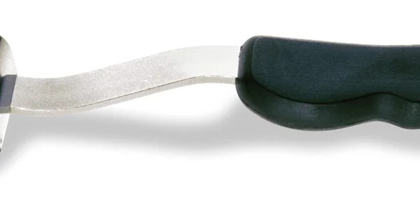 Sanelli Squamapesce Professionale