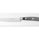 Sanelli Coltello Costata Cm.12 L.L.