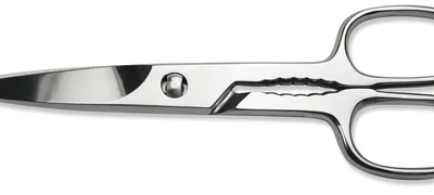 Sanelli Forbici Cucina Inox Lucida Cm.19