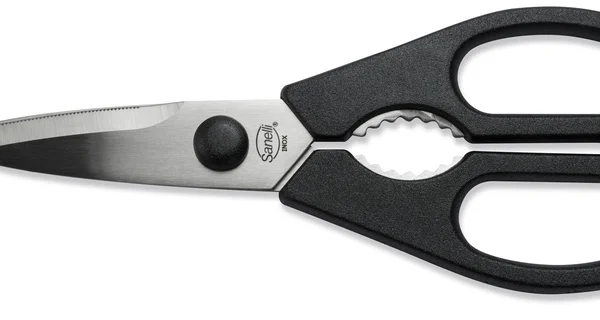Sanelli Forbici Cucina Inox Smontabile Manico Nylon