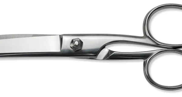 Sanelli Forbici Pesce Cm.19