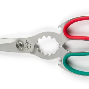 Sanelli Forbici Cucina Inox Cm.21