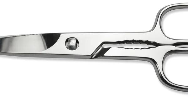 Sanelli Forbici Cucina Inox Lucida Cm.19