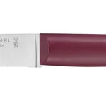 Coffret de 4 couteaux de table Bon Appétit + Glam (Couleurs panachées)