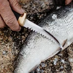 Marttiini Fishermans knife Condor