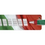 Sanelli Acciaino Cm.22