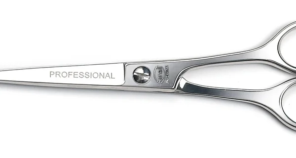 Sanelli Forbici Parrucchiere Professionale 6½