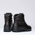 Alpen II GTX Marrone
