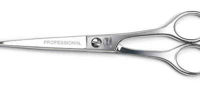 Sanelli Forbici Parrucchiere Professionale 6½