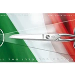 Sanelli Forbici Lavoro 5½