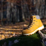 Arban Winter Natur