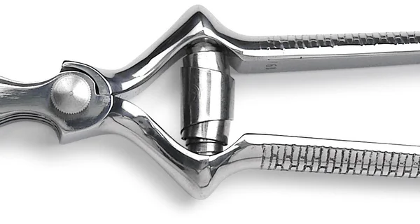 Sanelli Masticatore Curvo Inox Cm.18