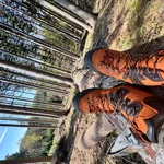 Logger Trek