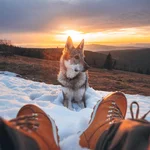 Arban Winter Natur