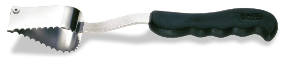Sanelli Squamapesce Professionale
