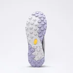 Flyrock GTX WS Grigio Chiaro-Viola