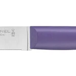 Coffret de 4 couteaux de table Bon Appétit + Glam (Couleurs panachées)