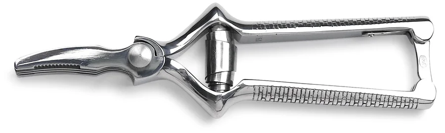 Sanelli Masticatore Curvo Inox Cm.18