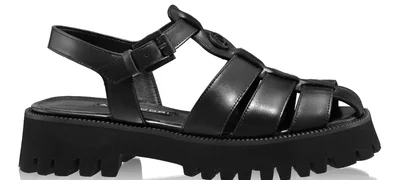 7567 Vitello Negru