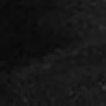 8029 Camoscio Negru