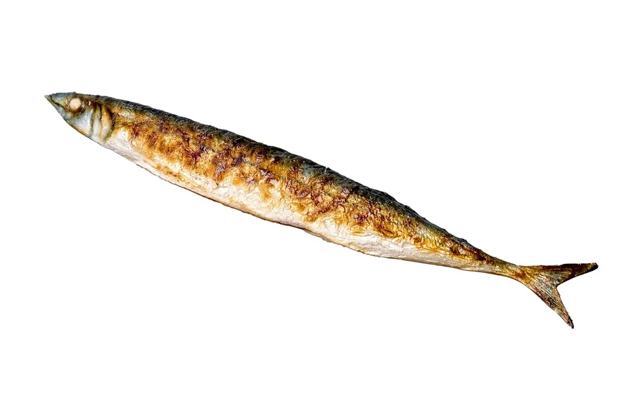 Something Fishy