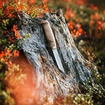 Marttiini Lumberjack Stainless