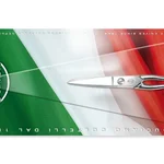 Sanelli Forbici Lavoro 4