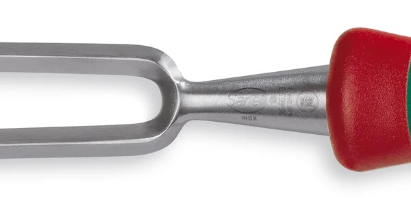 Sanelli Forchettone Forgiato Cm.33