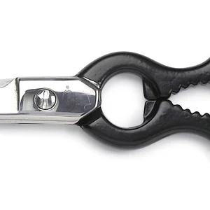Sanelli Forbici Cucina Inox Cm.20