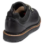 Tashi Low