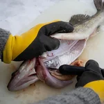 Marttiini Fish Cleaner