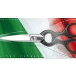 Sanelli Forbici Cucina Inox Cm.20