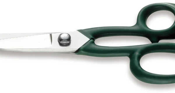 Sanelli Forbici Pesce Cm.20 Manico Verniciato