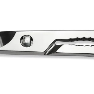 Sanelli Forbici Cucina Inox Lucida Cm.19