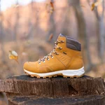 Arban Winter Natur