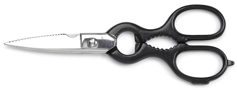 Sanelli Forbici Cucina Inox Cm.20