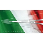 Sanelli Forbici Parrucchiere Professionale 6½