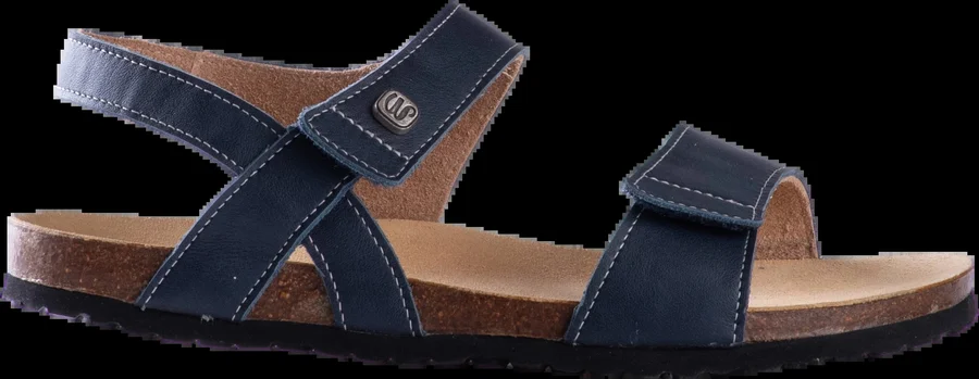 Air Danubia