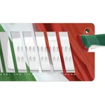 Sanelli Coltello Cinese Cm.22