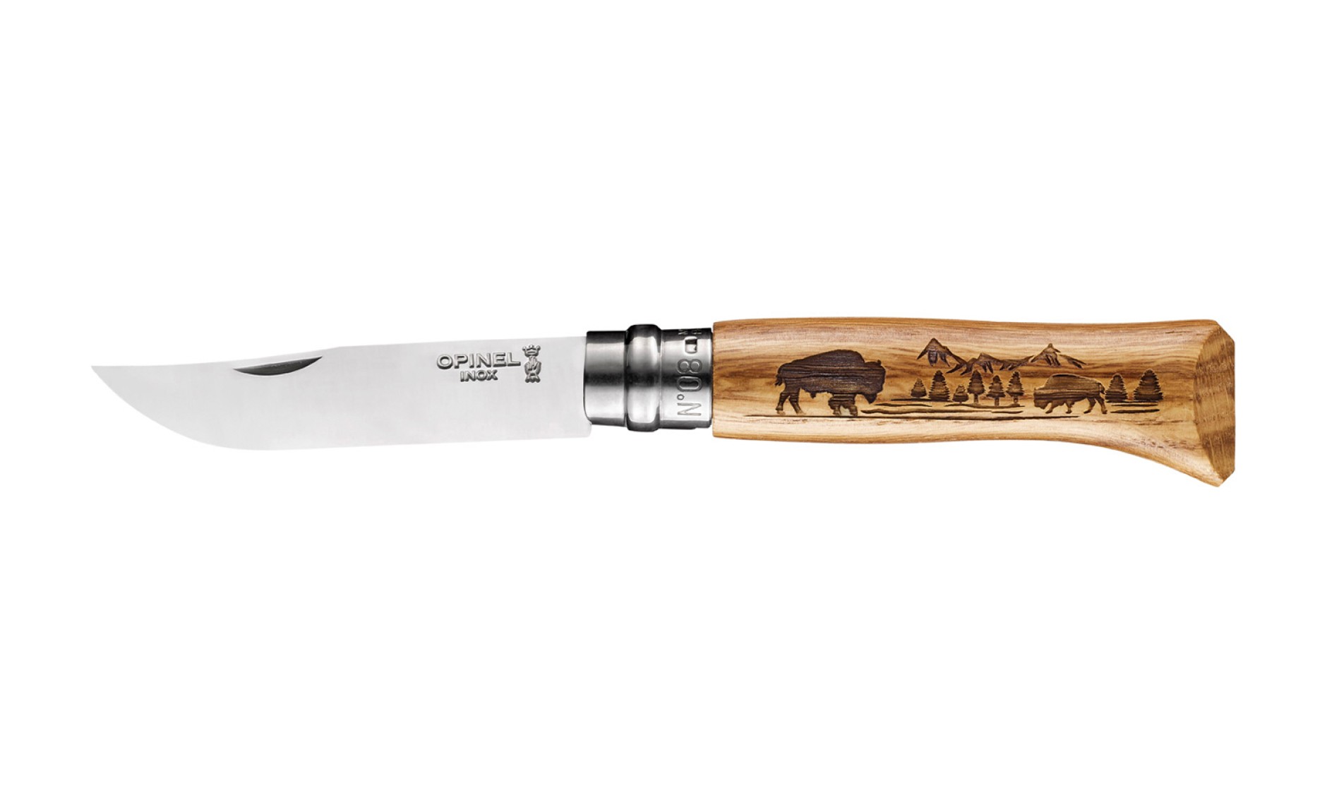 N°08 Animalia America Bison