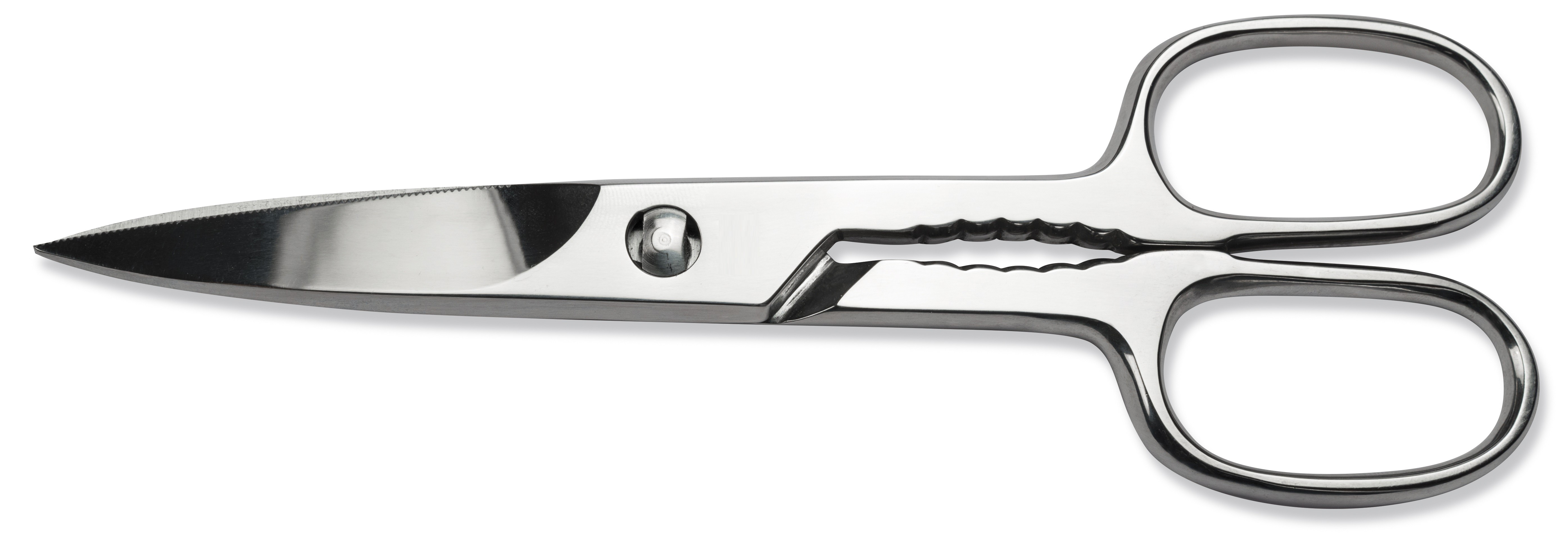 Sanelli Forbici Cucina Inox Lucida Cm.19