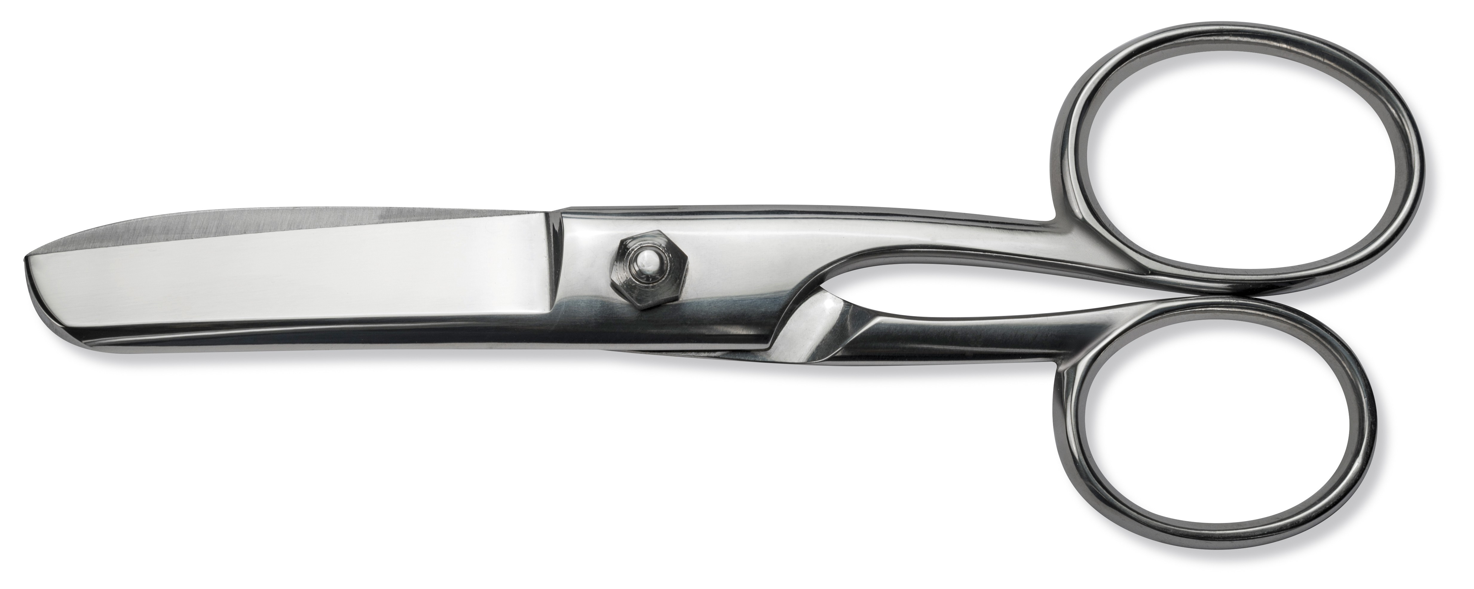 Sanelli Forbici Pesce Cm.19