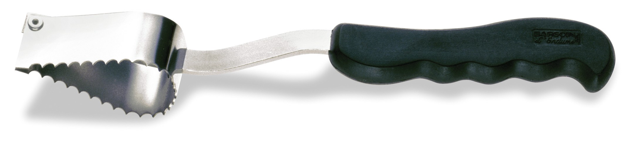 Sanelli Squamapesce Professionale